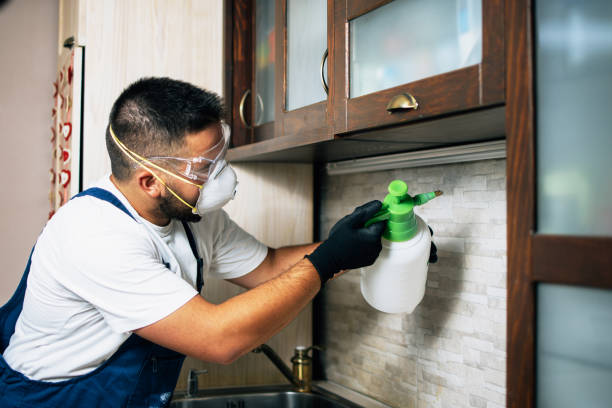 Best Residential Pest Control  in New Braunfels, TX