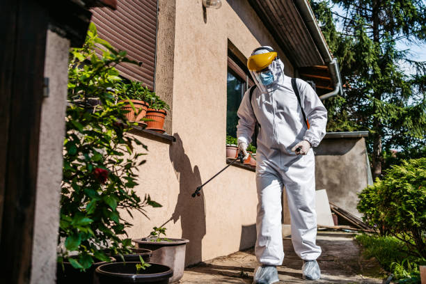  New Braunfels, TX Pest Control Pros